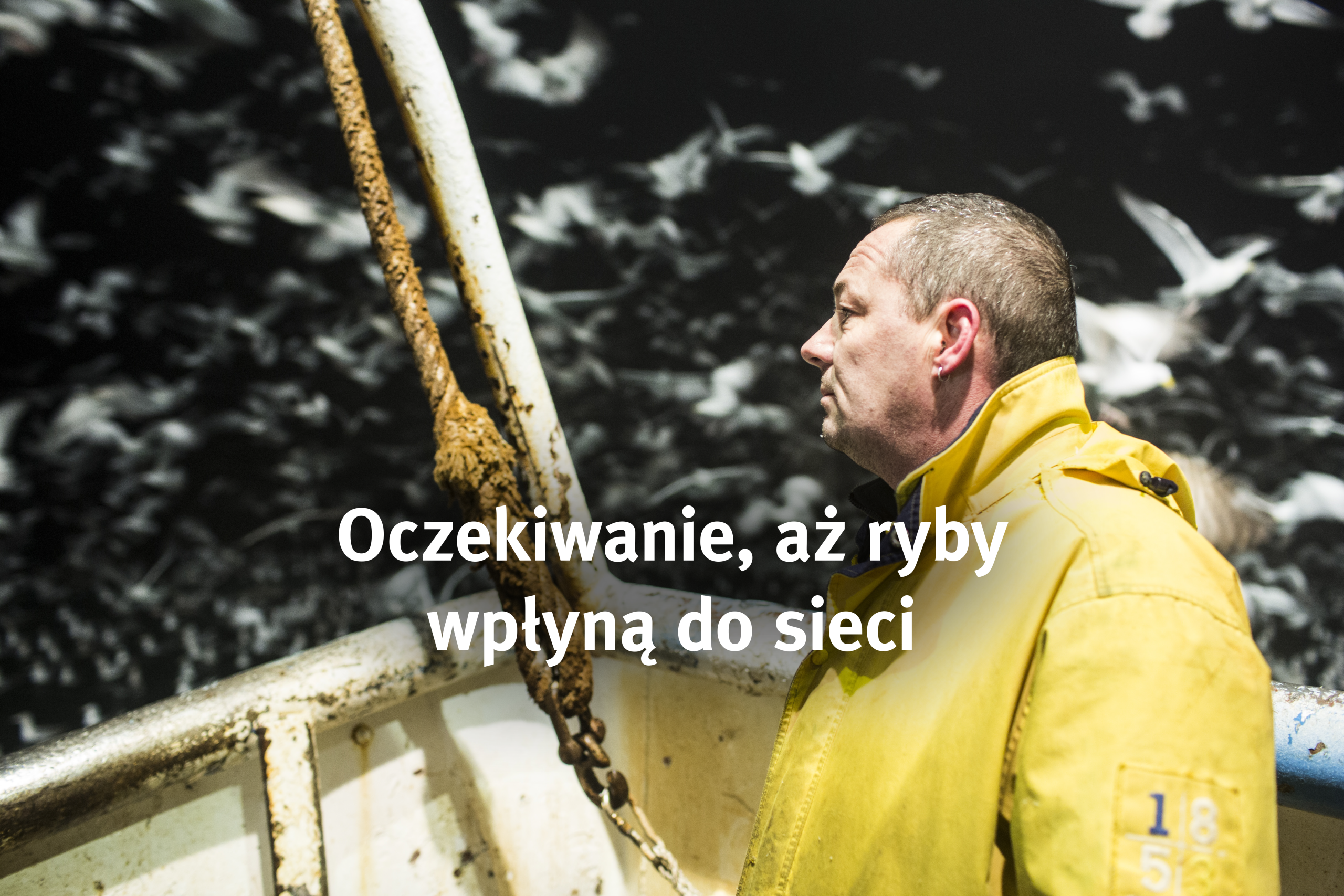 Oczekiwanie, aż ryby wpłynął do sieci