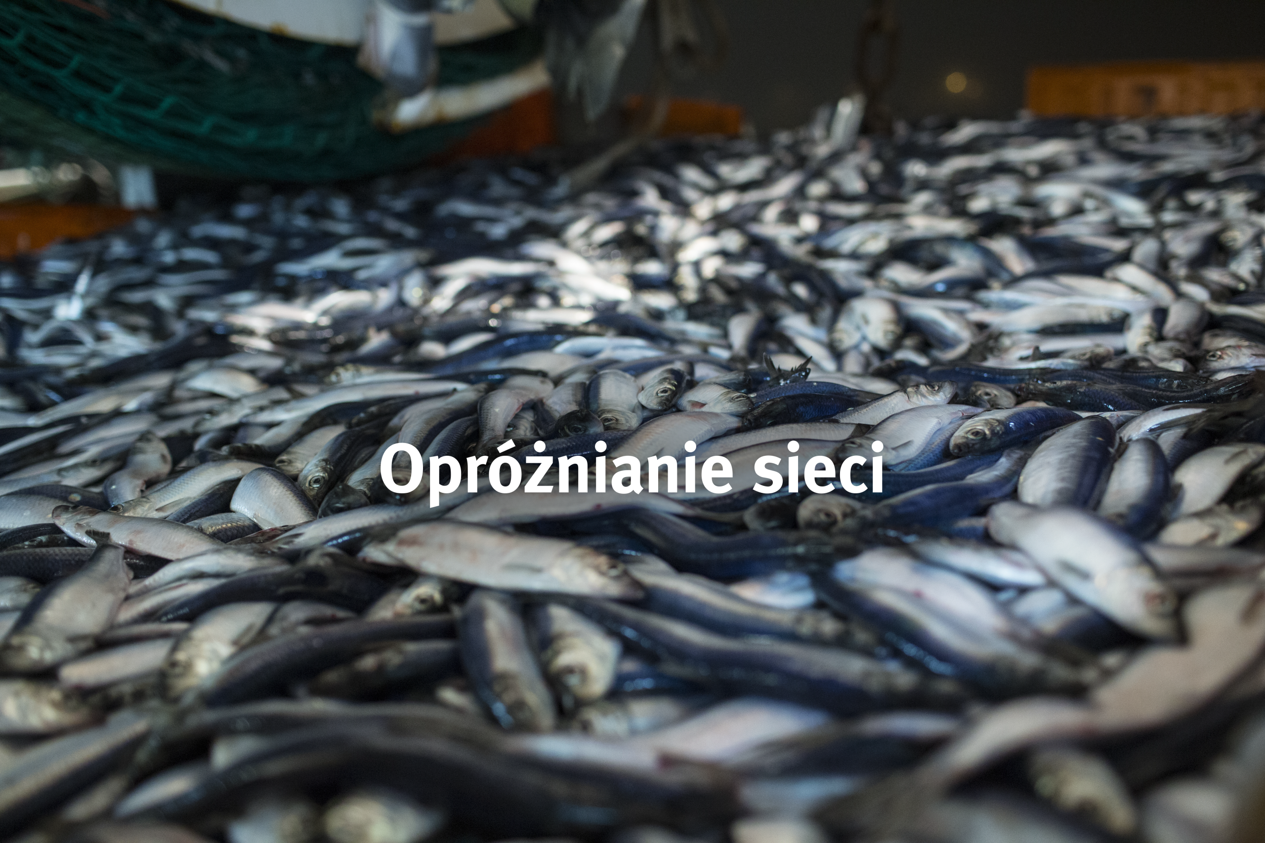 Opróżnianie sieci
