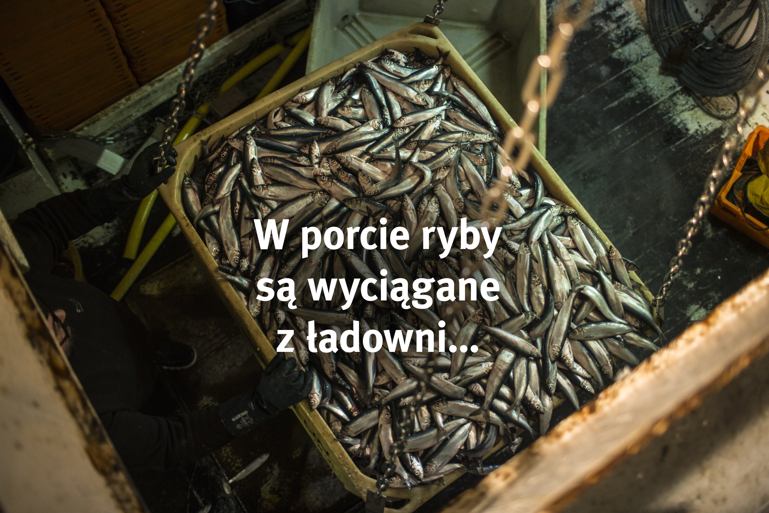 W porcie, ładownia